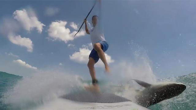 « Un surfeur blessé par un requin lors d’une séance de surf en Floride : une vidéo choquante »
