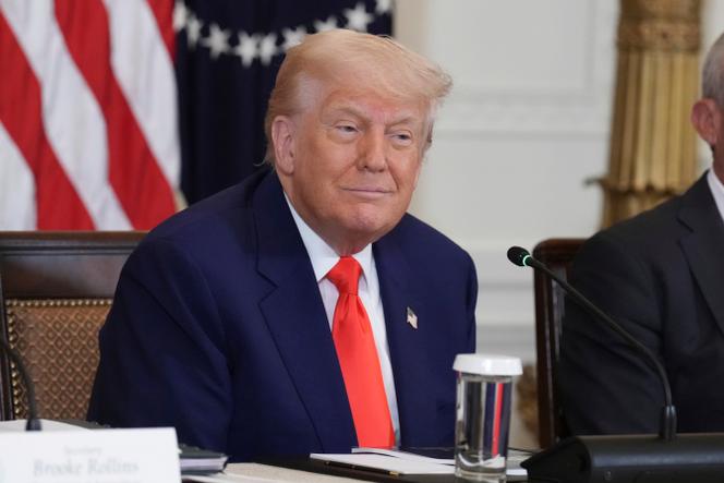 Trump a bien fait de traiter l’Union européenne comme des vassaux